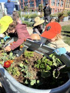 Two youngsters tending to their kale