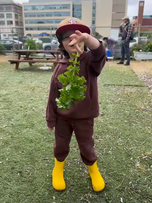 A boy twirls kale back and forth